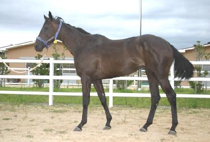 �޸��� ����