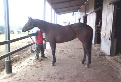 ���޹�ȭ ����