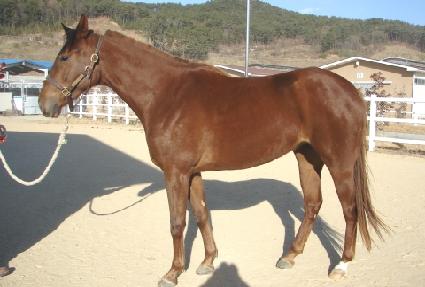 ������� ����