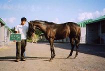 â����� (CHANGYEONG DAEUN) ����