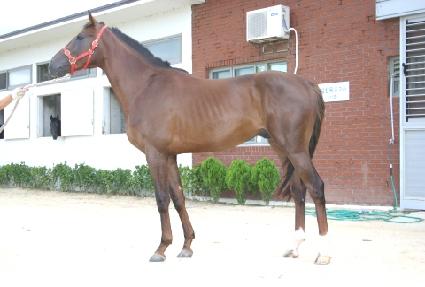 �պ���Ʈ ����