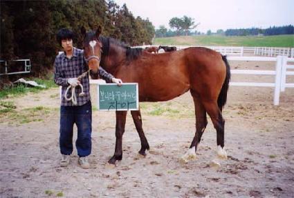 �����ǿ��� ����