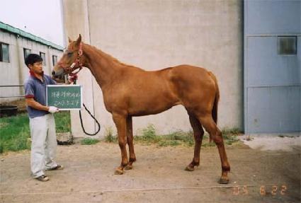 ������ħ ����