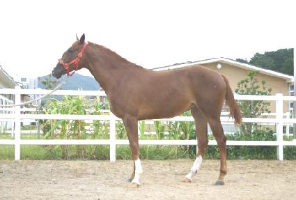 õ�Ϲ��� ����