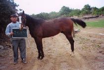 ��õ��� (SEOCHEON YANGBAN) ����