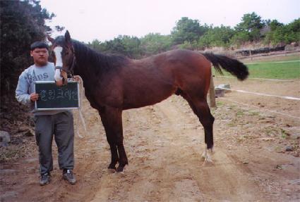 ��õ��� ����