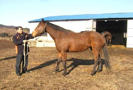 â������ ����