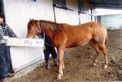 ť��Ÿ ����