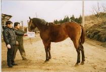 ���ټ� (INTENTION) ����