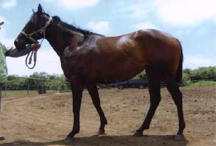 ��Ű���� ����