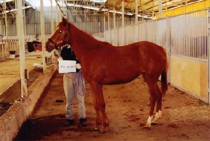 ����Ʈ������ ����