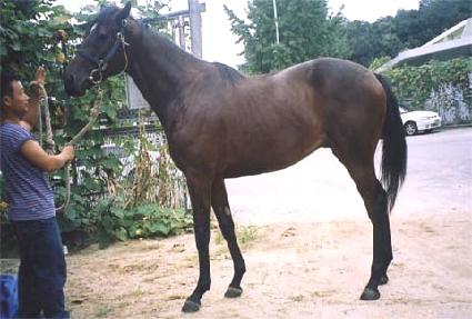 �簭�� ����