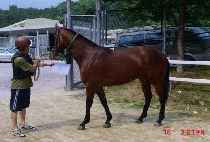 �������� ����