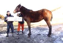 ���󸮽� (POLARIS) ����