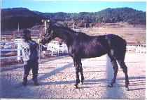 �������� (DANGCHAN GASEUM) ����