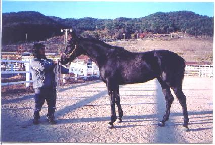 �������� ����