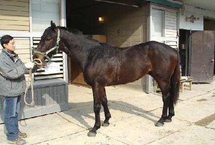 ������ ����