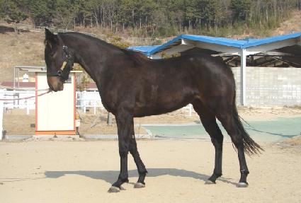 �������� ����