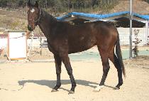 ������ (BAEKJEONGYE) ����