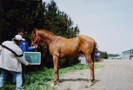 ���Ϳ��� ����