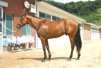 �����Ӹ� ����