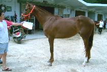 ����� (DONGYEOKBIT) ����