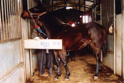 �������� ����