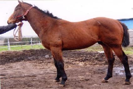 ���̺��� ����