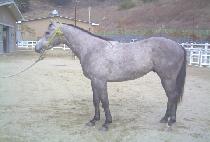 ��δ뱺 (BAEKDU DAEGUN) ����