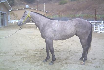 ��δ뱺 ����