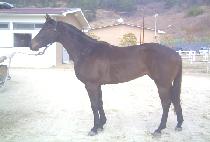 ��ǳ���� (SEONPUNG JEOGIN) ����