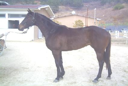 ��ǳ���� ����