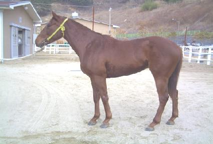 ���Ϻ� ����