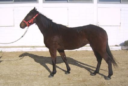 �ܼ� ����