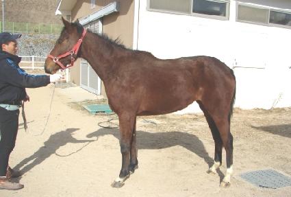 �Ƹ��ٿ�̼� ����