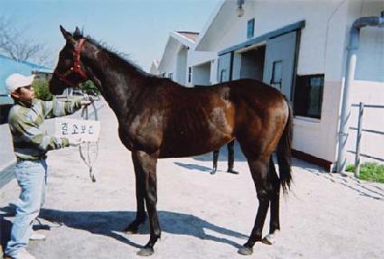 ���� ����