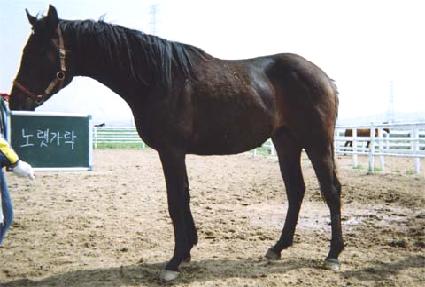 ���Ӽ��� ����