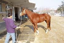 ��پ�Ʋ��Ÿ (VIVA ATLANTA) ����