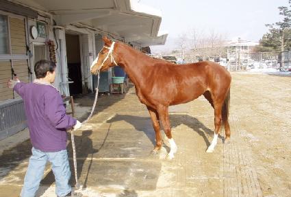 ��پ�Ʋ��Ÿ ����