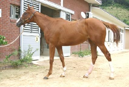 �÷η��� ����