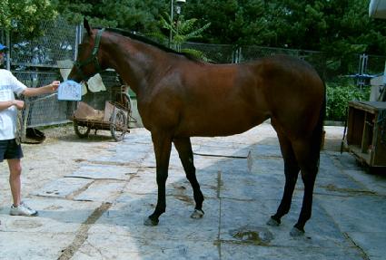 ��ȭ���� ����