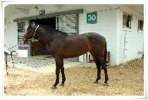 �б��� (APGUJEONG) ����