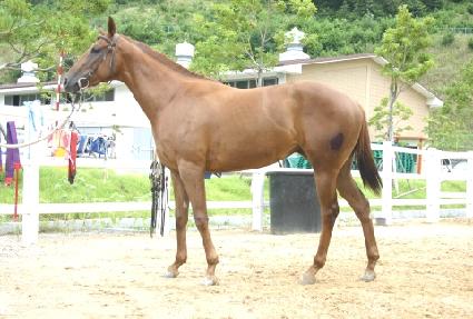 ��ȫġ�� ����