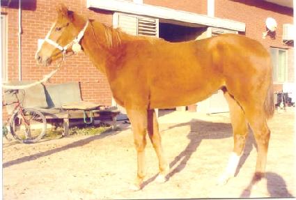 ���Ű�� ����