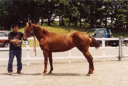 õ������ ����