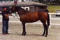 ���濩�� (NAMBANG YEOGEOL) ����