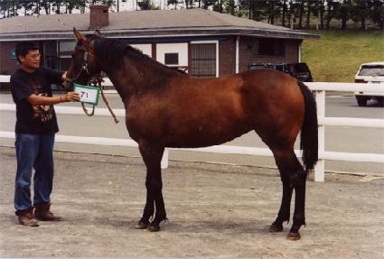 ���濩�� ����