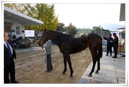 ��õ��� ����