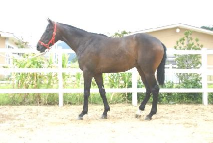 �Ǳ���õ ����