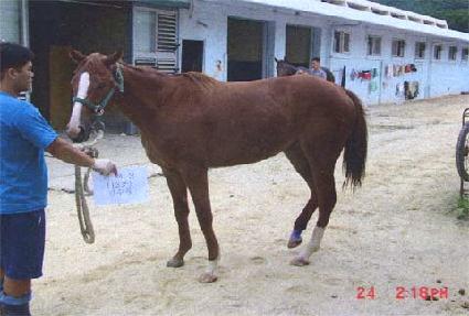 ���� ����